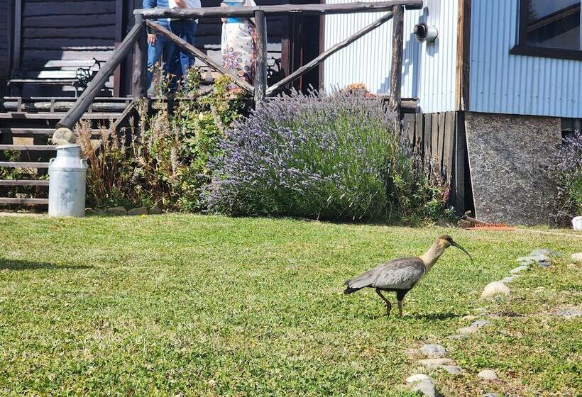 هتل Cabanas Alechen