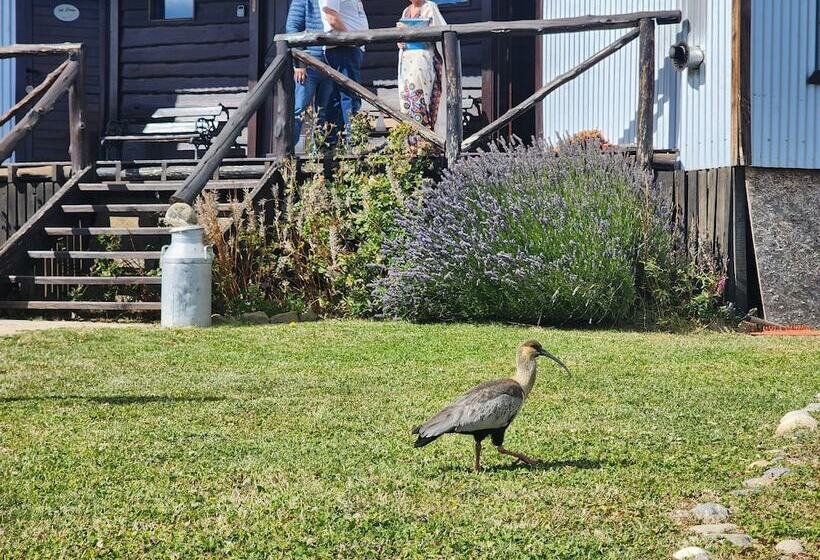 هتل Cabanas Alechen