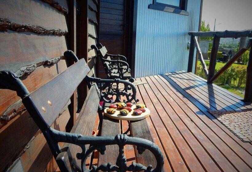 هتل Cabanas Alechen