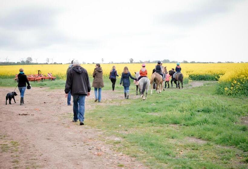 酒店 Bauernhof Köhlbrandt