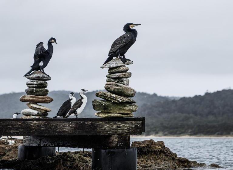 Отель Picnic Island