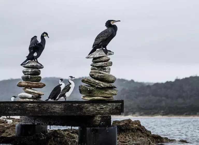 Hotelli Picnic Island