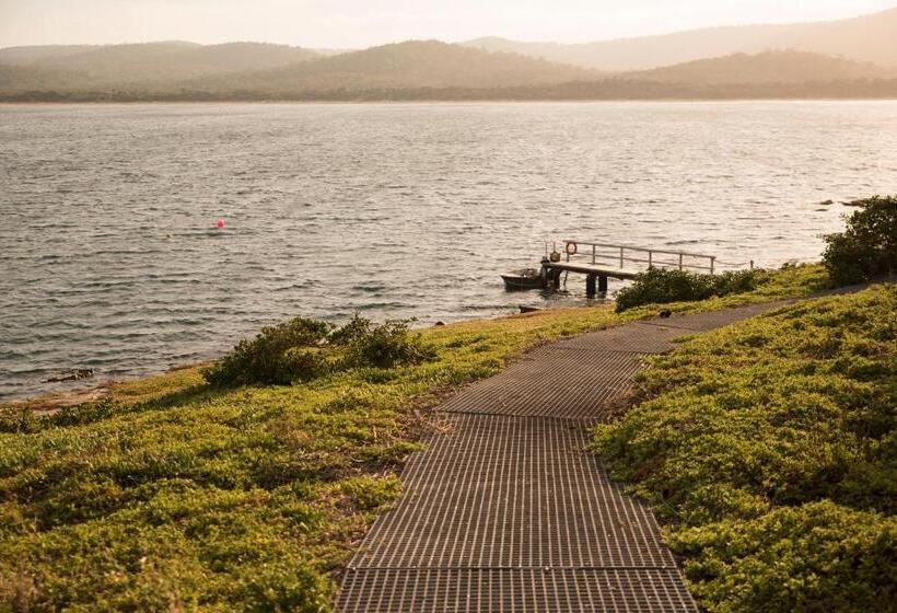 Отель Picnic Island