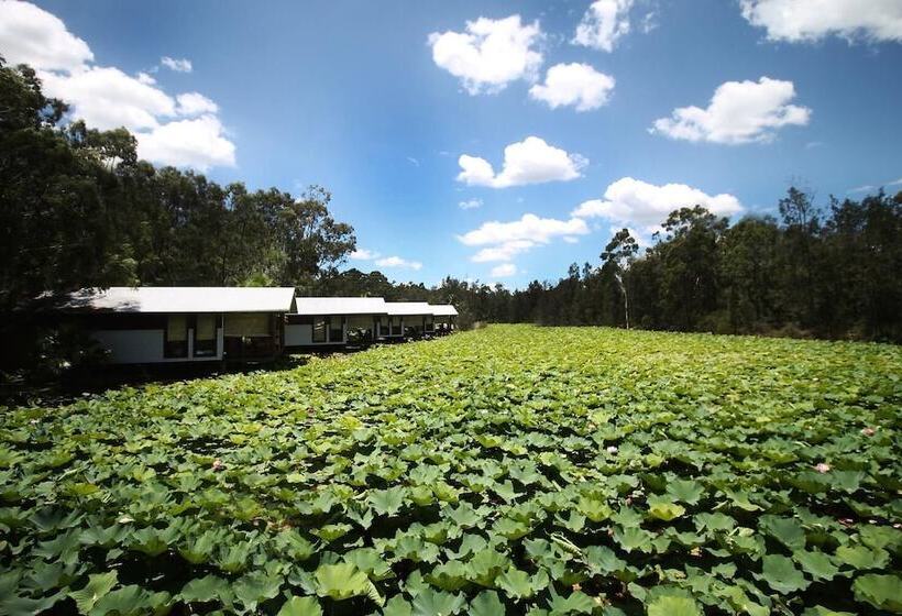酒店 The Boathouses At Leaves & Fishes