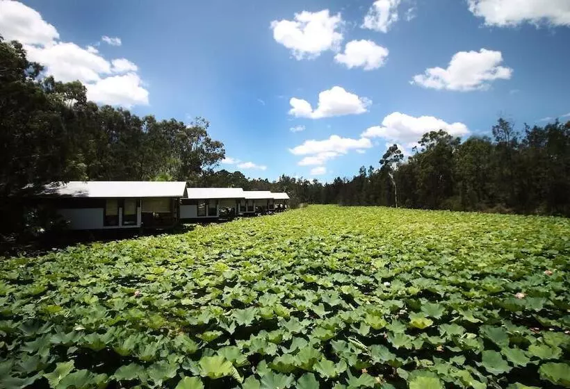 Hotelli The Boathouses At Leaves & Fishes