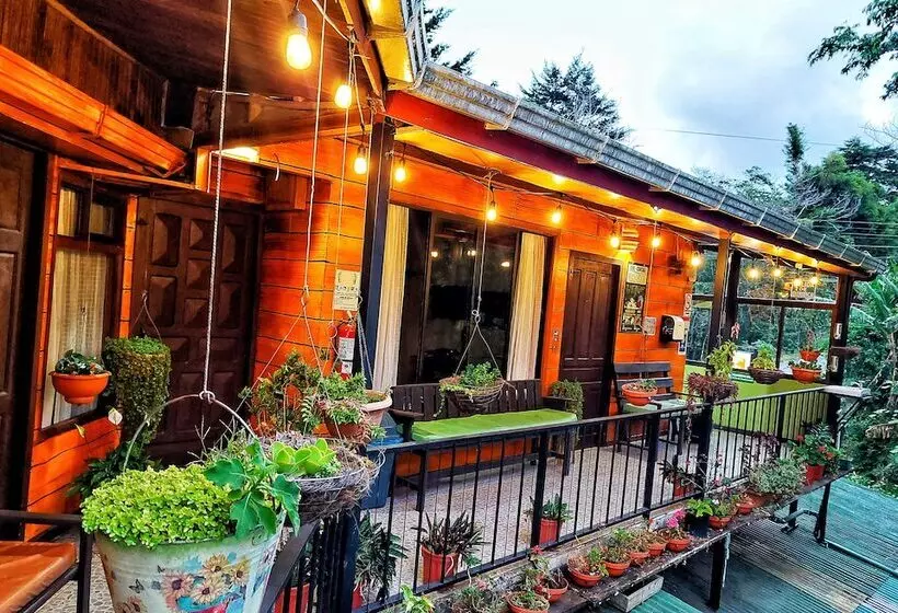 ホテル Cabinas El Pueblo B&b Monteverde