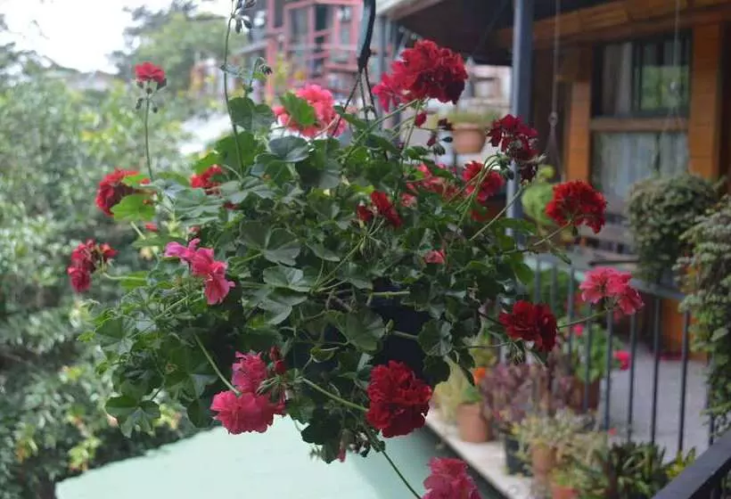 ホテル Cabinas El Pueblo B&b Monteverde