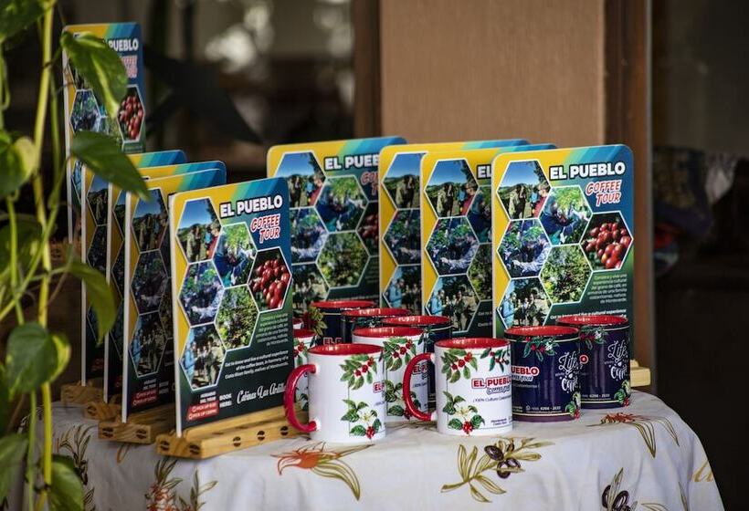 酒店 Cabinas El Pueblo B&b Monteverde