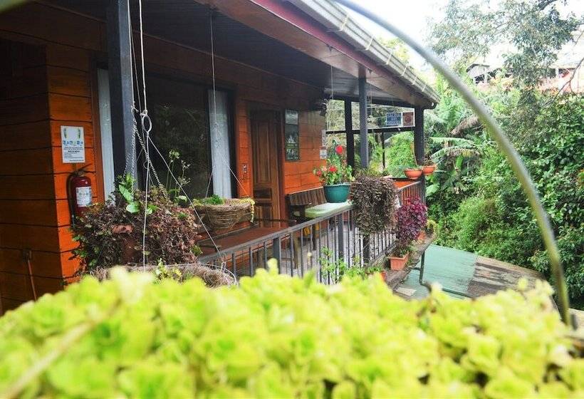 酒店 Cabinas El Pueblo B&b Monteverde