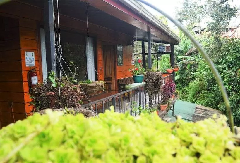 ホテル Cabinas El Pueblo B&b Monteverde