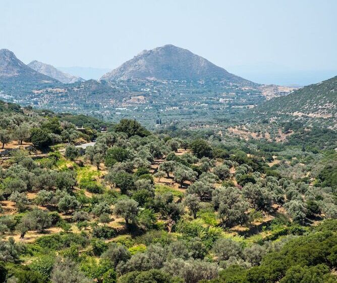 호텔 Elaiolithos   Luxury Villa Suites   Adults Only