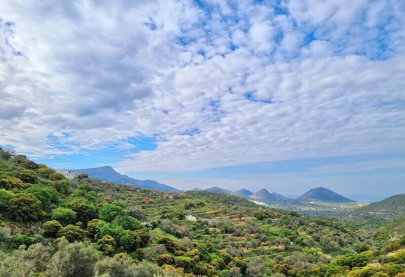 호텔 Elaiolithos   Luxury Villa Suites   Adults Only