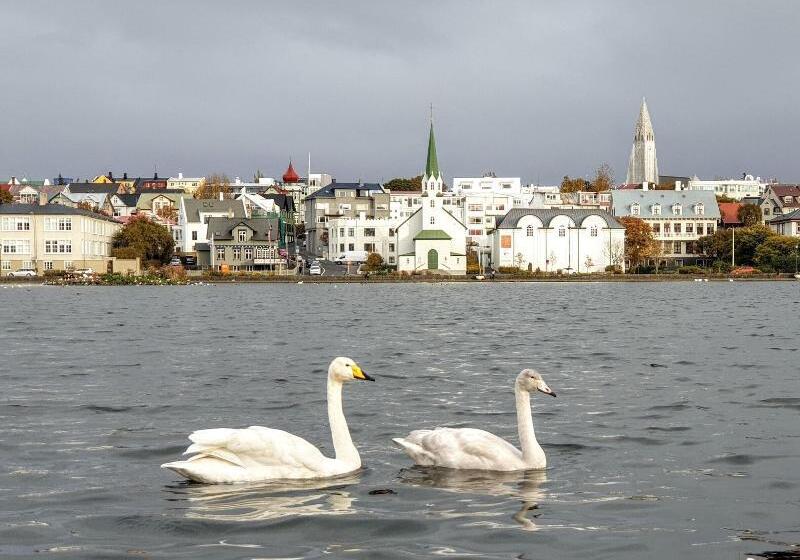 בית מלון כפרי Lækur Hostel