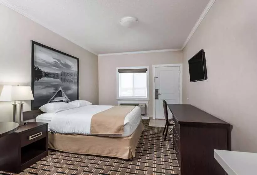 Hotelli Super 8 By Wyndham Watrous