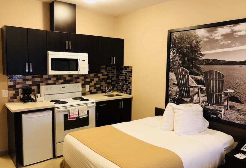 ホテル Super 8 By Wyndham Watrous