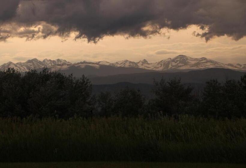 هتل Tiger S Nest Resort Best Resort In Paro