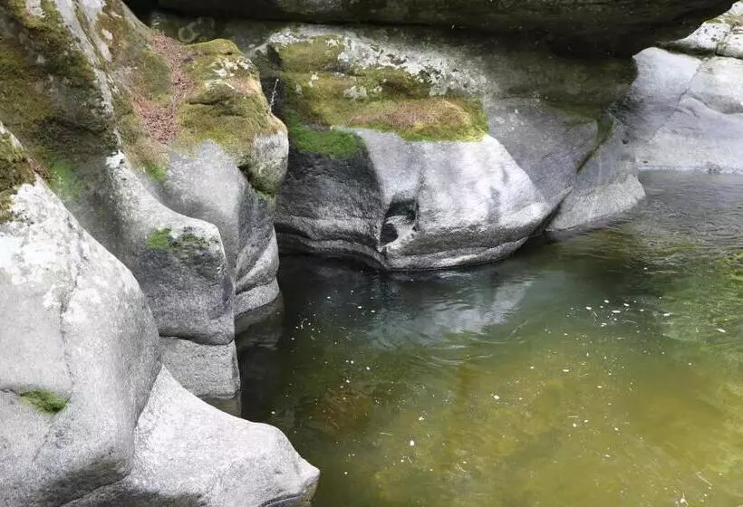 هتل Tiger S Nest Resort   Best Resort In Paro