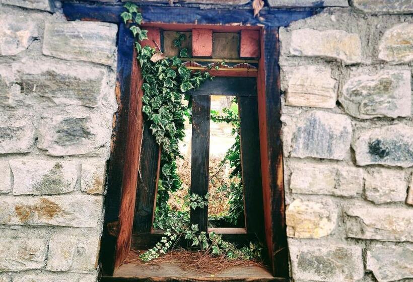 هتل Tiger S Nest Resort Best Resort In Paro