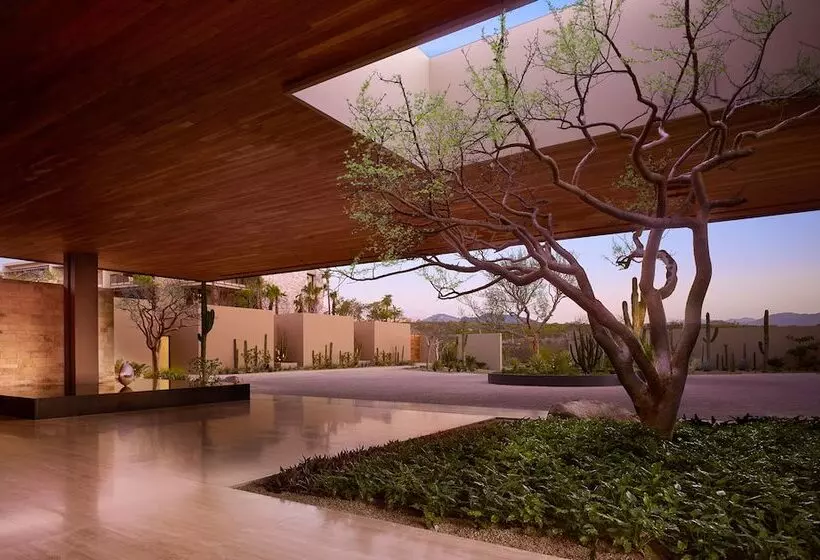 هتل Montage Los Cabos