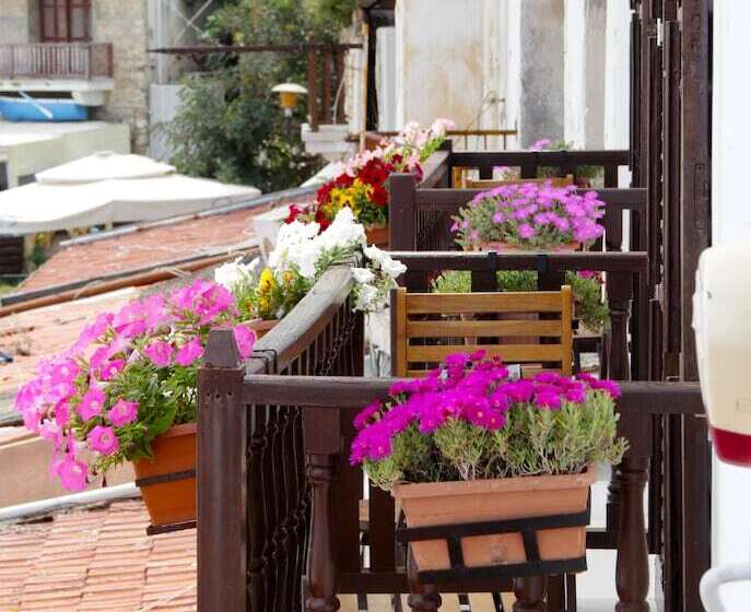 בית מלון כפרי White Pearl