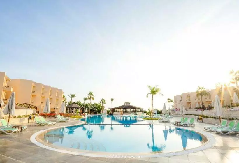 Ivy Cyrene Sharm Resort - Adults Friendly Plus 13