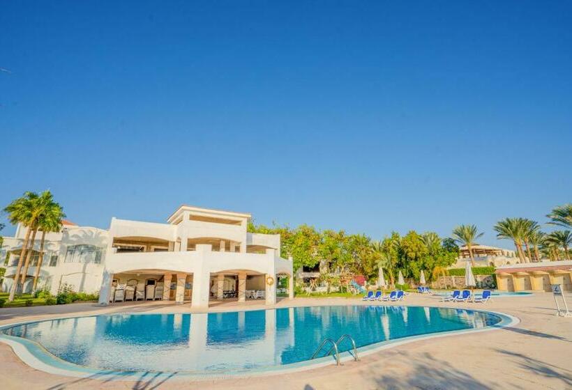 Ivy Cyrene Sharm Resort - Adults Friendly Plus 13