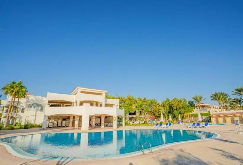 Ivy Cyrene Sharm Resort - Adults Friendly Plus 13