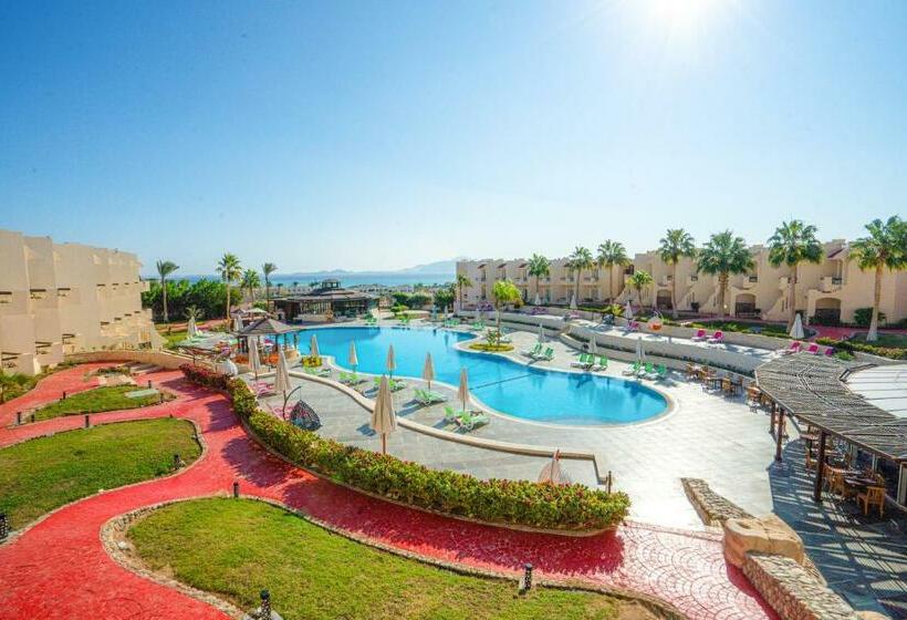 Ivy Cyrene Sharm Resort - Adults Friendly Plus 13