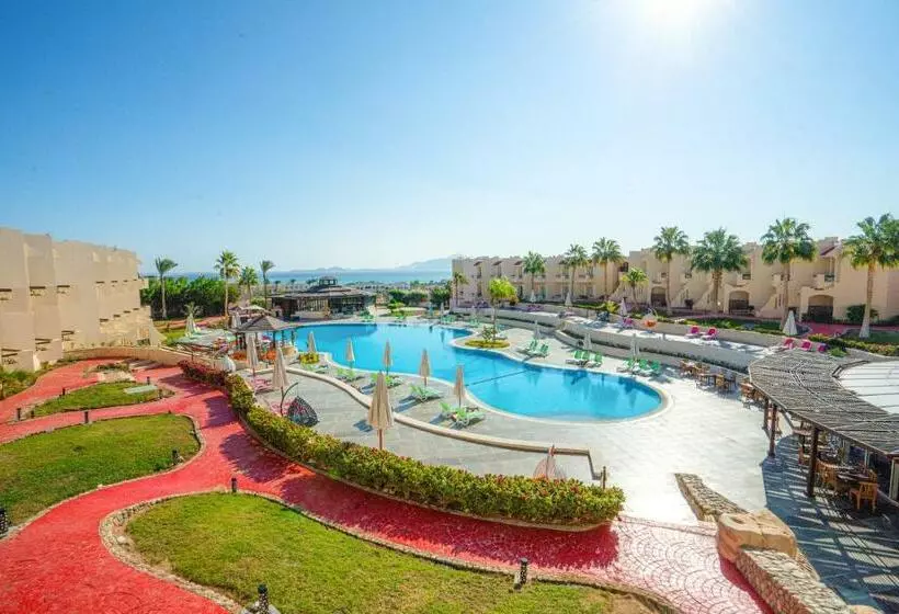 Ivy Cyrene Sharm Resort - Adults Friendly Plus 13