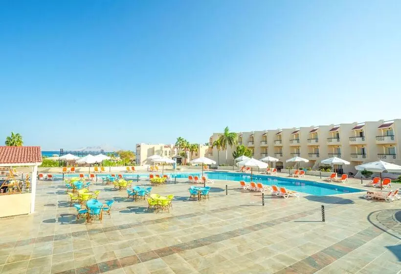 Ivy Cyrene Sharm Resort - Adults Friendly Plus 13