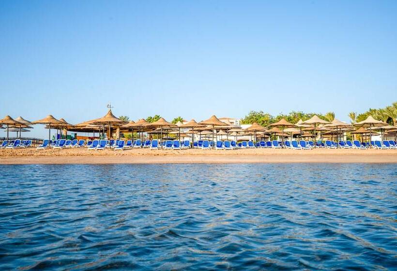 Ivy Cyrene Sharm Resort - Adults Friendly Plus 13