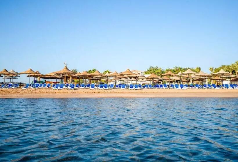 Ivy Cyrene Sharm Resort - Adults Friendly Plus 13