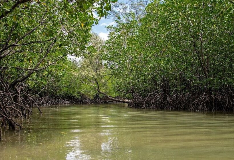 فندق Capital O 729 Amantra Lake View Resort