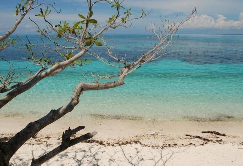 Malapascua Beach And Dive Resort