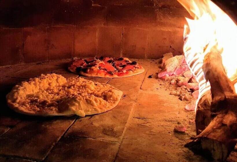 Malapascua Beach And Dive Resort