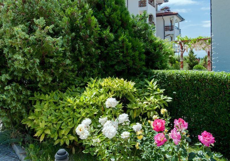 Robinson Vip Apartments