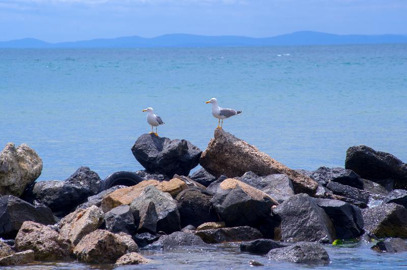 Robinson Vip Apartments