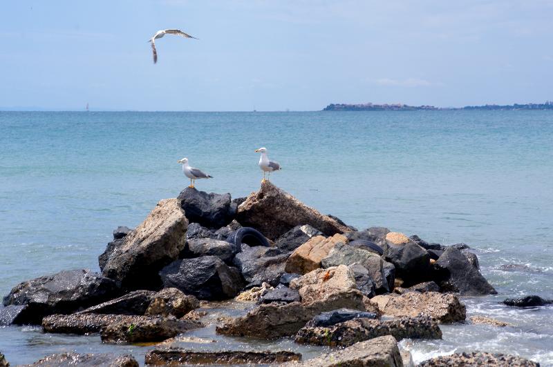 Robinson Vip Apartments