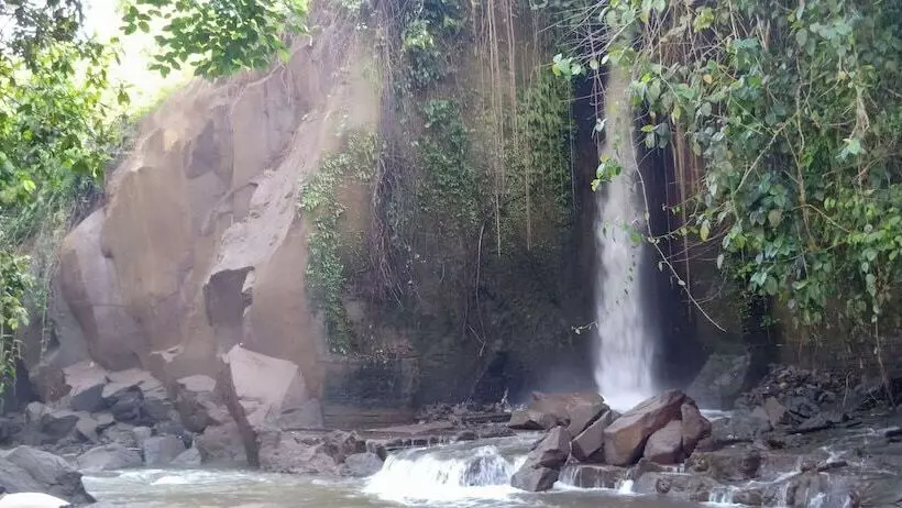 Aamiaismajoitus (B&B) Baliwid Villa Ubud