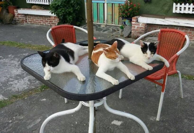 تختخواب و صبحانه Cat Sky Country Homestay