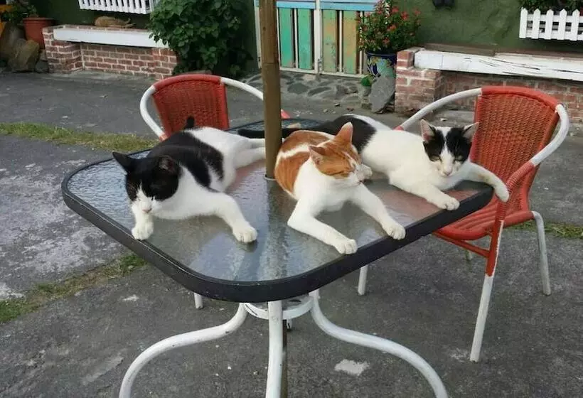 تختخواب و صبحانه Cat Sky Country Homestay