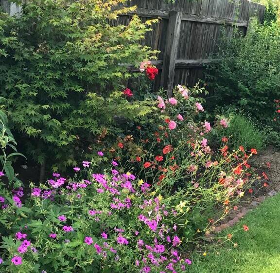 Bed and Breakfast The Ball Alley