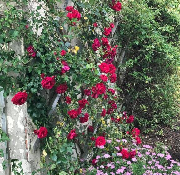 Bed and Breakfast The Ball Alley