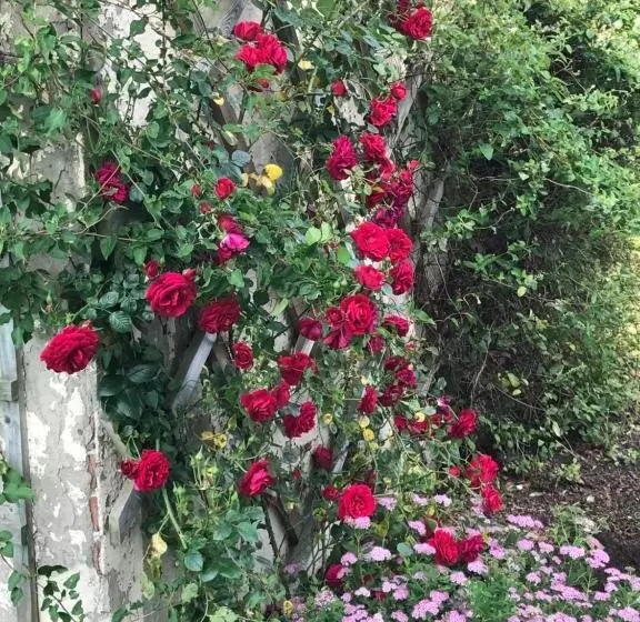 Aamiaismajoitus (B&B) The Ball Alley