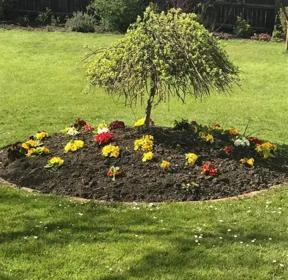 Aamiaismajoitus (B&B) The Ball Alley