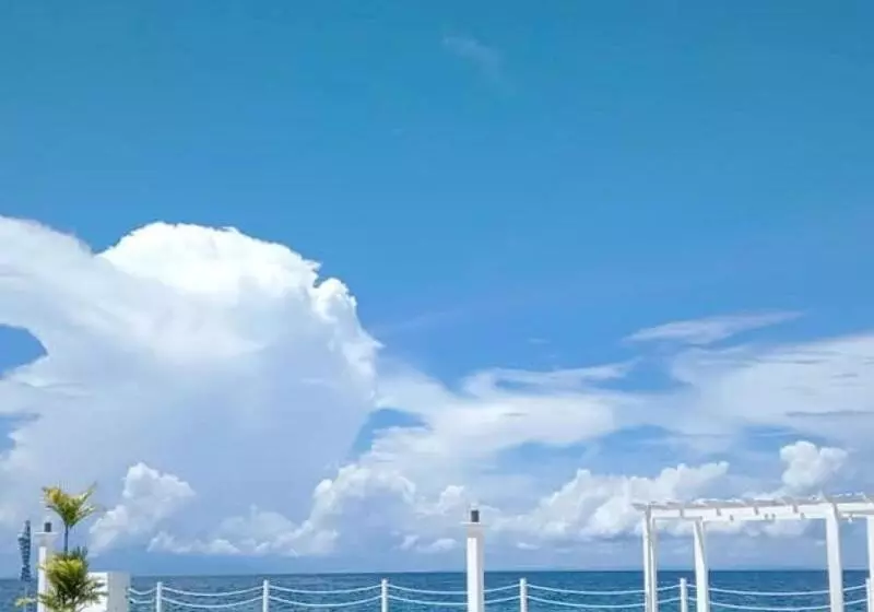ホテル Seascape Beach Resort Oslob