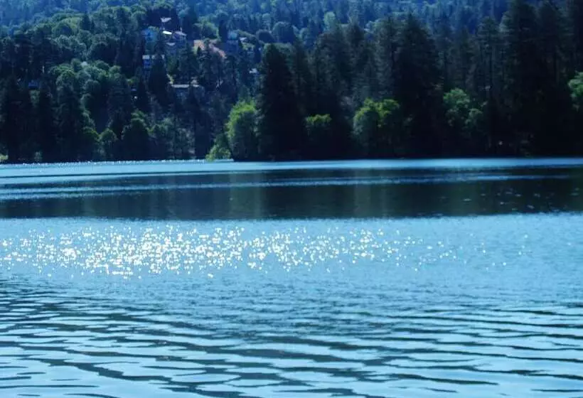 Hotelli The North Shore Inn