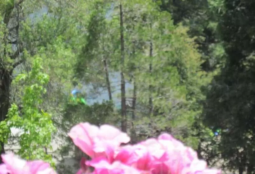 Hotelli The North Shore Inn