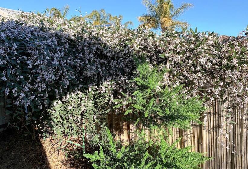 汽车旅馆  Gazebo Motor Inn   Strathmerton