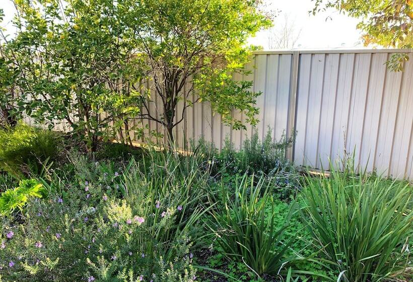 汽车旅馆  Gazebo Motor Inn   Strathmerton